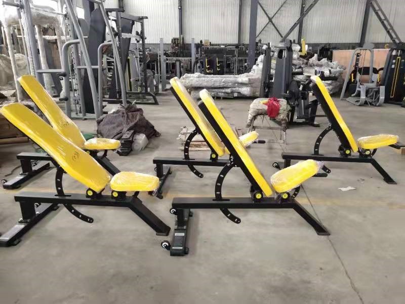 HOLLAND-PRO FIT GYM 300 SQM (5)_pRxRGKH5.jpg